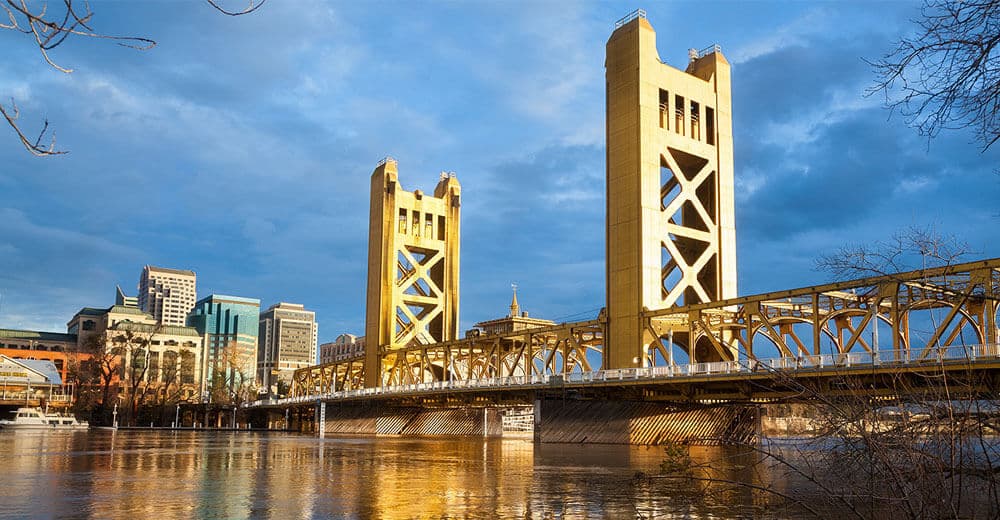Pest control in Sacramento, Sacramento area